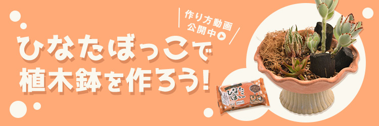 ひなたぼっこで植木鉢を作ろう