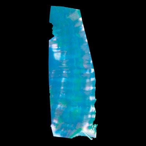 000000002599-01.jpg?size=m&w=