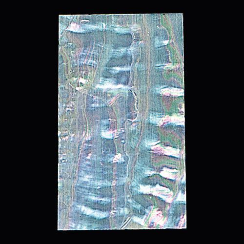 カッターで切れる青貝 青貝 | 造ハウ.com